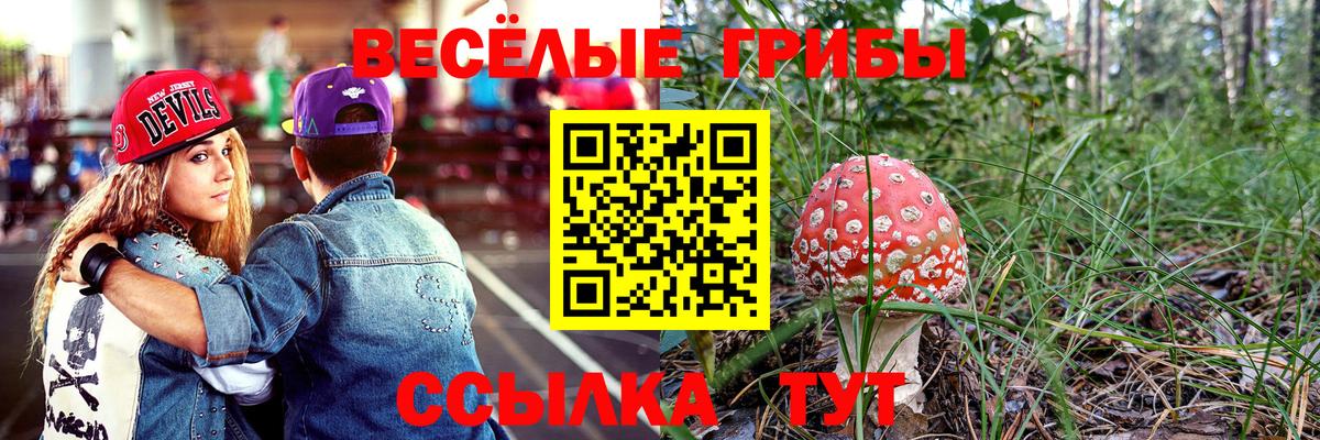 Псилоцибиновые грибы мухоморы  купить  цена  Артёмовский  Вход с VPN 